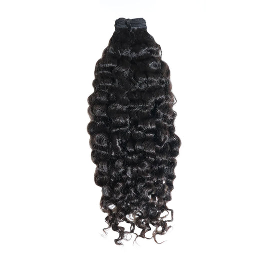 Burmese Curl Bundle